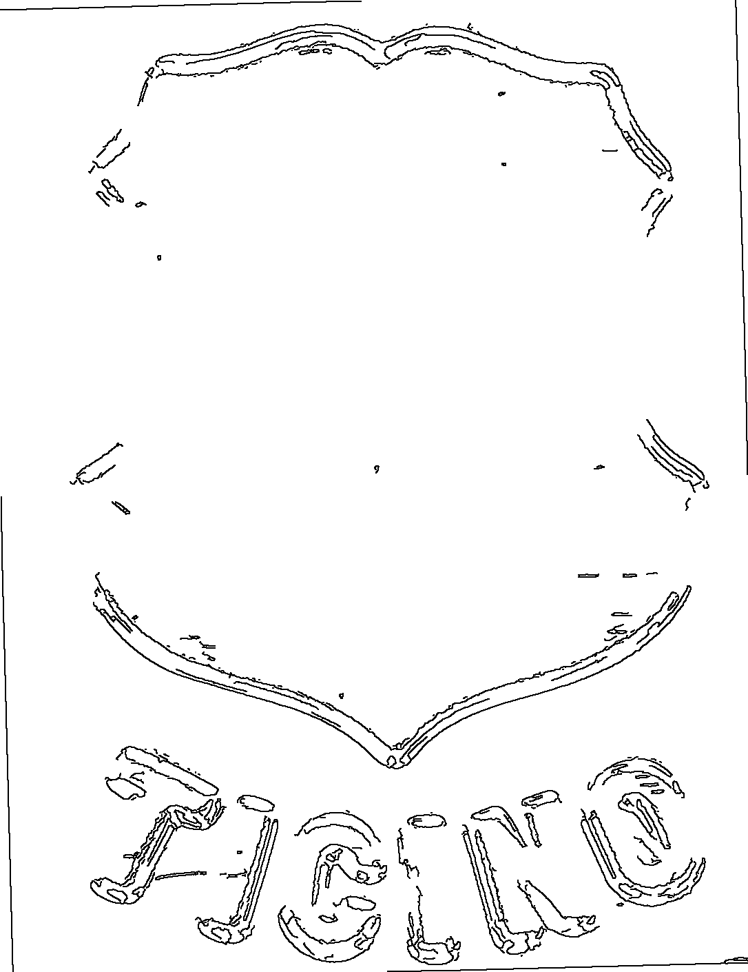 Zweifarbige Darstellung des alten Tessiner Wappens mit Schriftzug TICINO.